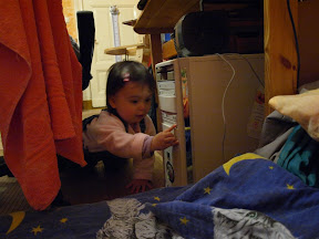 p2091676.jpg