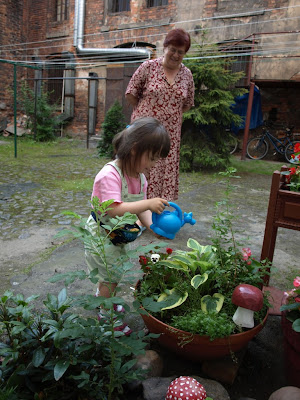 P6285523.jpg