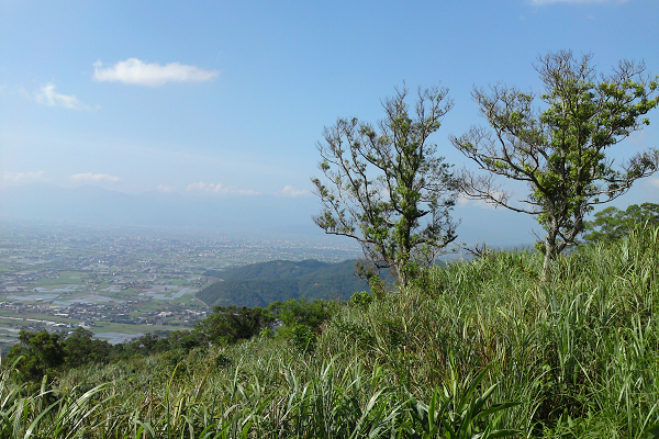 青春嶺