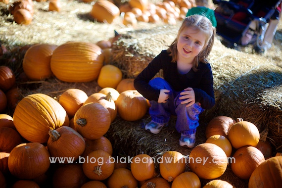 IMG_8633.jpg