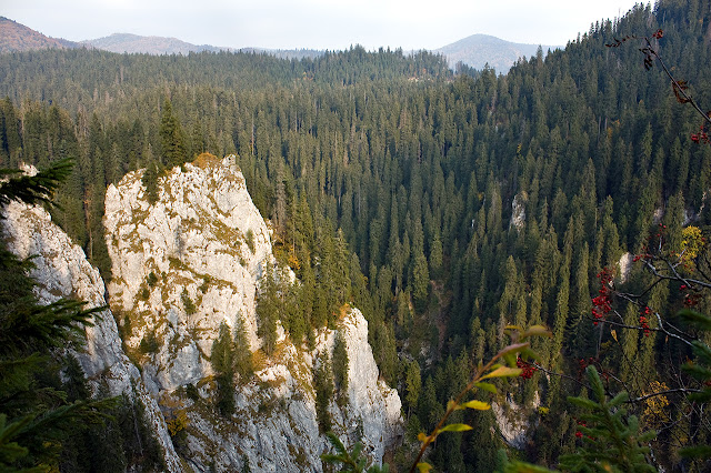 Landszafty