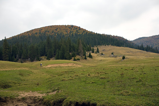 Polana Padis