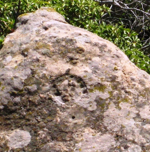 Roca de la Ferradura d'Escornalbou