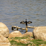 Durgam Cheruvu