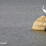 Shamirpet lake