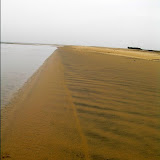 Pichavaram