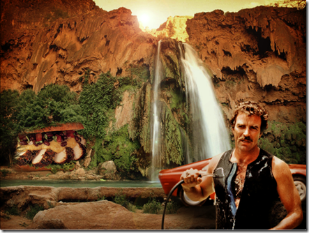 selleck