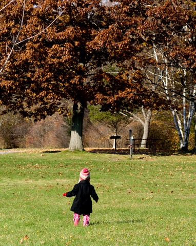 [DSC06211-2[5].jpg]