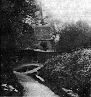 Frog Alley