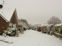 Newman's Close