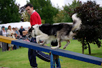 DSC_9815#001.jpg
