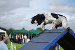 DSC_9802#001.jpg