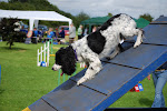 DSC_9804#001.jpg