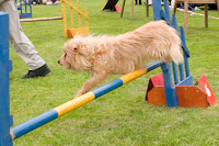 Height no obstacle