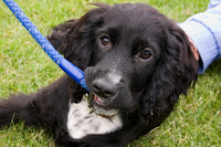 Chewing everything