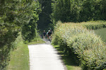 DSC00782.JPG