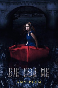 dieformetypeHCc1-677x1024