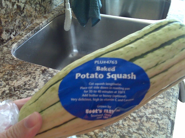 [squash[2].jpg]