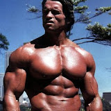 Arnold-Schwarzenegger-Photos-020.jpg