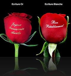 Cadeau saint valentin femme Cadeau saint valentin femme