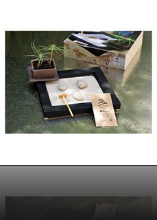 jardin zen miniature