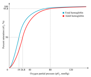 300px-HbA_vs_HbF_saturation_curve.png