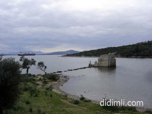 iasos_13.jpg
