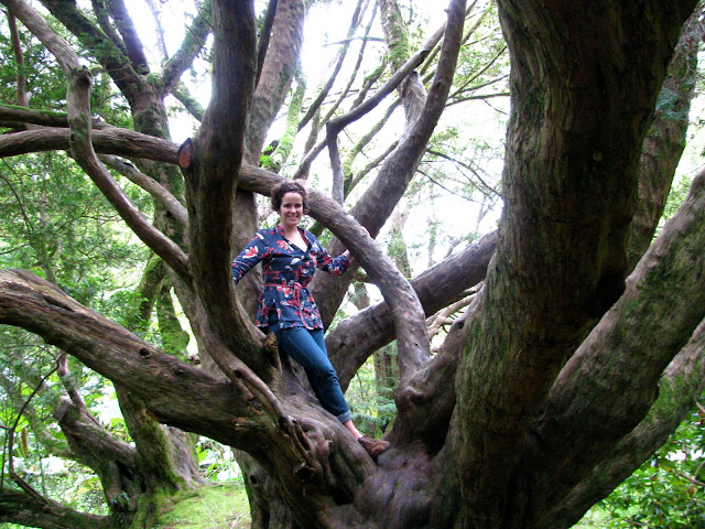 For example, they can take pictures of me in a tree.