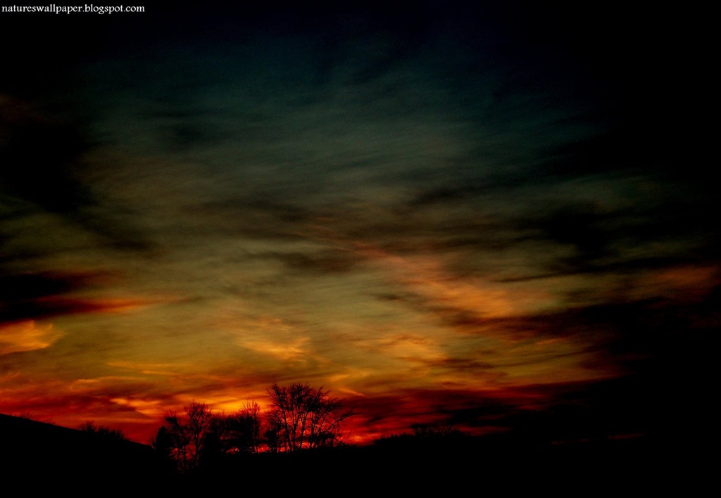 [Painted Sunset[2].jpg]