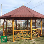 np_901.jpg