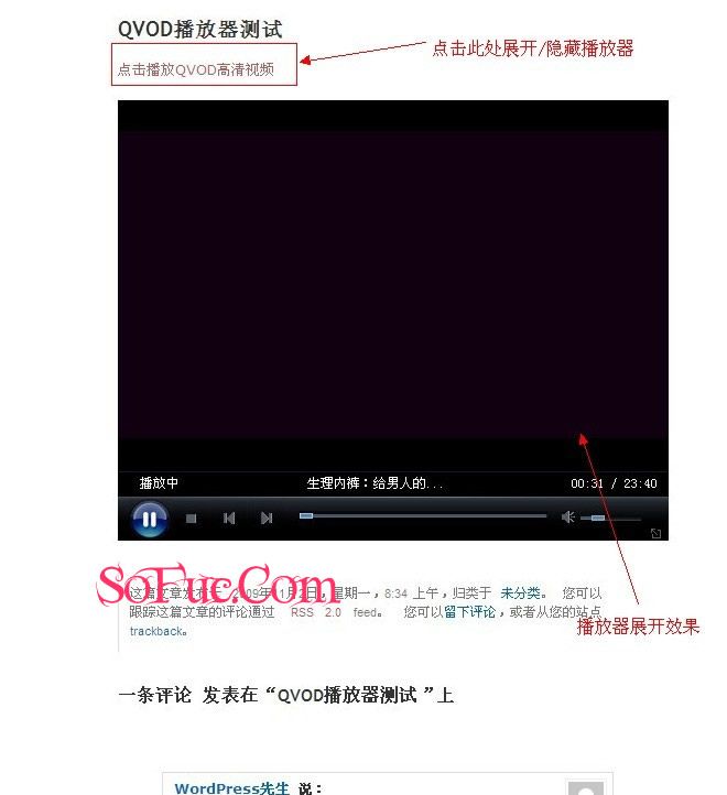 WordPress添加QVOD播放器 WordPress添加QVOD播放器