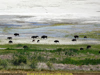 USA 2008-07-29 (12h41m48s).jpg