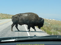 USA 2008-07-29 (13h03m22s).jpg