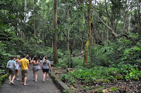 Bali 2011-02-02 15'59''46.jpg