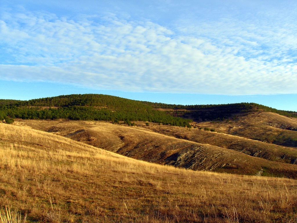 [IMG_65815.jpg]