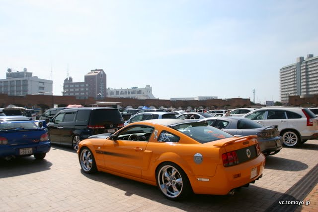 IMG_2866.JPG