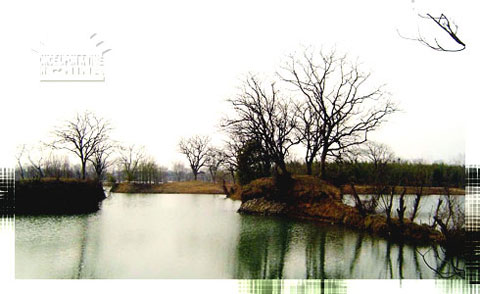 Xixi National Wetland Park, Hangzhou, Zhejiang, China Xixi National Wetland Park, Hangzhou, Zhejiang, China
