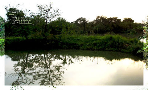 Xixi National Wetland Park, Hangzhou, Zhejiang, China Xixi National Wetland Park, Hangzhou, Zhejiang, China