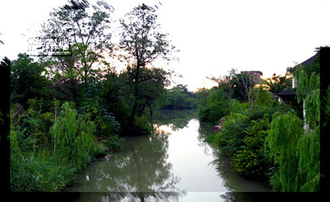 Xixi National Wetland Park, Hangzhou, Zhejiang, China Xixi National Wetland Park, Hangzhou, Zhejiang, China