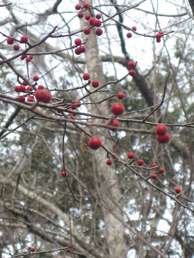 external image Picture%20025.jpg