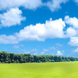 2OK60x30x600.jpg