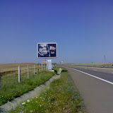 Vai580 - Copy.jpg