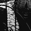 DSC_0117.jpg