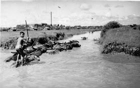 http://lh3.ggpht.com/_ITNhx4_mylE/TARaEj-U6eI/AAAAAAAAA34/JrsKPDd4cZ8/s640/Cochinchine7-1949.jpg