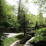 IMG_8265.JPG