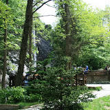 IMG_8268.JPG