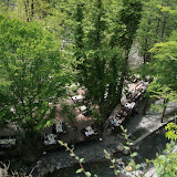 IMG_8295.JPG