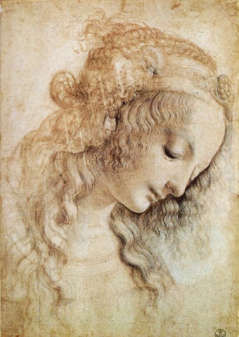 [Leonardo Da Vinci Dibujos (7)[4].jpg]
