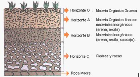 Horizontes