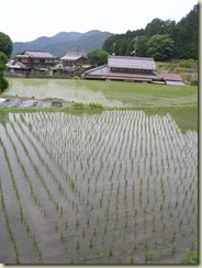 DSCN8934
